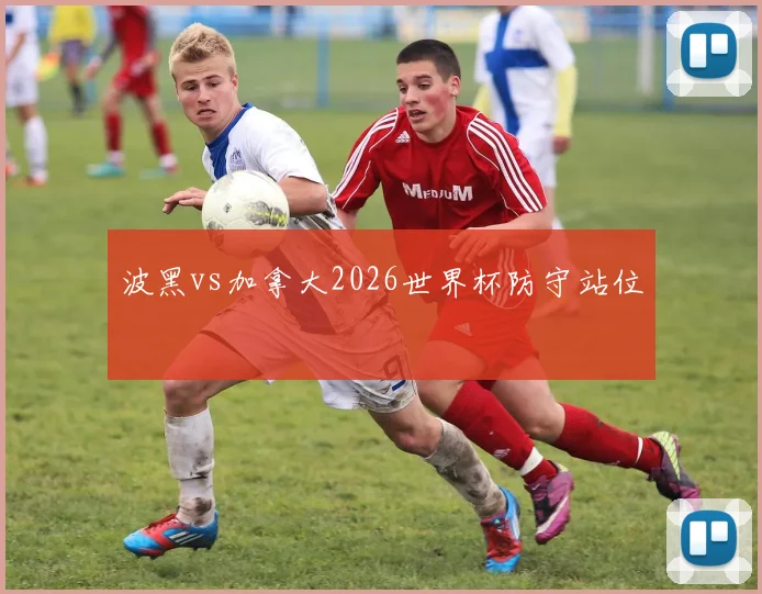 波黑vs加拿大2026世界杯防守站位