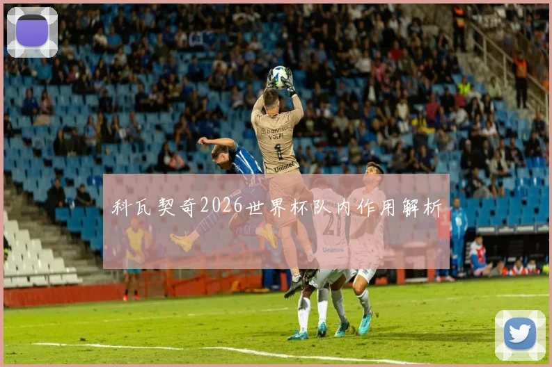 科瓦契奇2026世界杯队内作用解析
