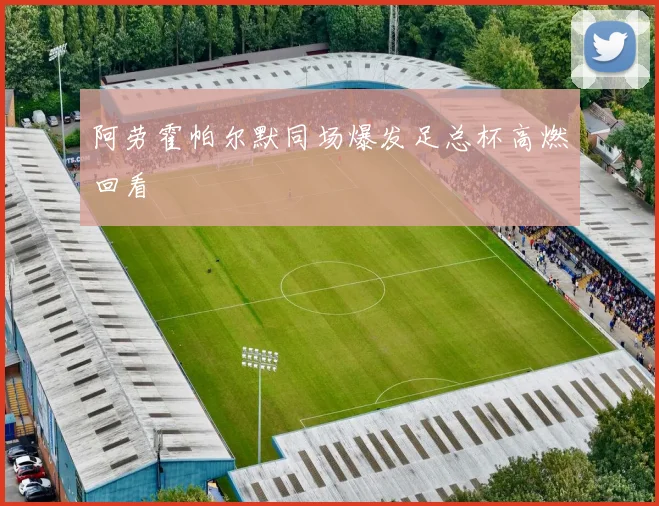 阿劳霍帕尔默同场爆发足总杯高燃回看