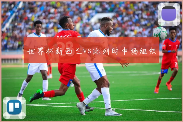 世界杯新西兰vs比利时中场组织