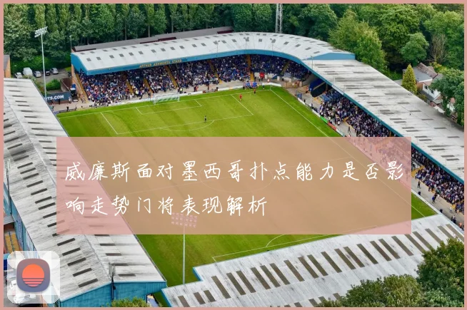 威廉斯面对墨西哥扑点能力是否影响走势门将表现解析