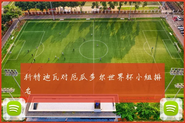 科特迪瓦对厄瓜多尔世界杯小组排名
